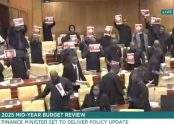 Minority stages walkout ahead of Mid-year budget review