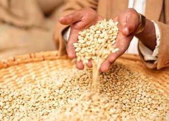 Tighter Border Controls;To prevent smuggling and protect local farmers.