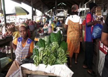 Agbogbloshie traders reject report linking food crops to mercury contamination