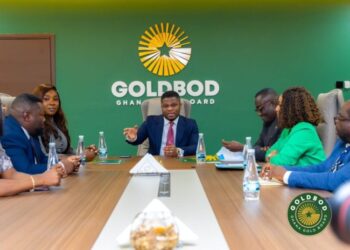Afenyo-Markin: NDC gov’t enabling galamsey through Goldbod