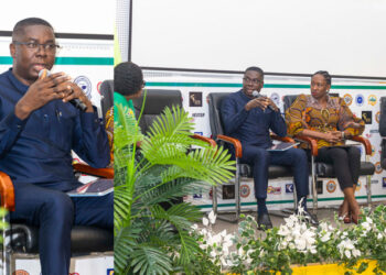 Dr. Gideon Boako calls for national geological survey to curb illegal mining