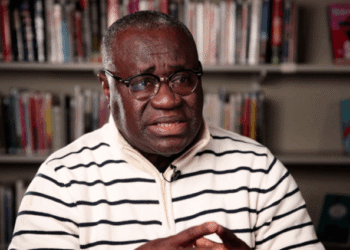 ECOWAS cannot achieve stability in Guinea-Bissau – Prof Kwesi Aning