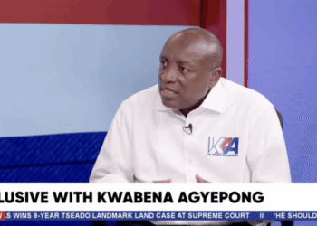 NDC acted on “premeditated agenda” against Gertrude Torkonoo — Kwabena Agyepong