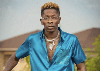 If possible, I’ll get Shatta Wale to join the NPP
