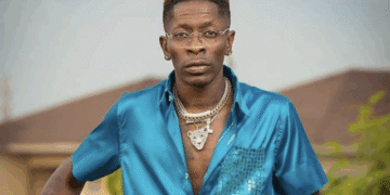 If possible, I’ll get Shatta Wale to join the NPP