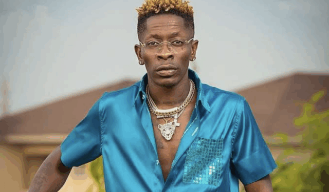 If possible, I’ll get Shatta Wale to join the NPP