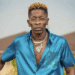 If possible, I’ll get Shatta Wale to join the NPP