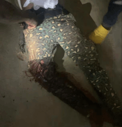 Two immigration officers ambushed and shot in Upper East Region’s Tempane district