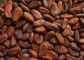 EU warns Ghana and Côte d’Ivoire to reform cocoa sector or risk losing global market share