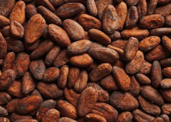 EU warns Ghana and Côte d’Ivoire to reform cocoa sector or risk losing global market share