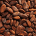 EU warns Ghana and Côte d’Ivoire to reform cocoa sector or risk losing global market share