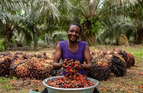 2026 Budget: Govt targets 100,000 hectares and 250,000 jobs in new oil palm policy
