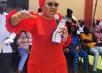 NPP Primary: I’m willing to serve as running mate – Naa Torshie