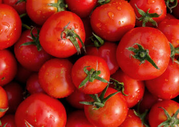 Tomato prices soar in Accra after Burkina Faso attack