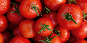 Tomato prices soar in Accra after Burkina Faso attack