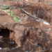 Illegal Mining Pit Collapse in Asutifi South Claims 9 Lives at Atta Ne Atta