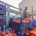Burkina Faso bans fresh tomato exports to protect local processing industry