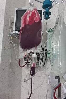 Jehovah’s Witnesses ease rules on blood transfusions