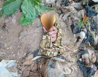 Abandoned Newborn Rescued from Bush at Dechimso-Hafia