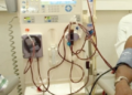 West African Gene Identified in University of Ghana Study as Risk Factor for Kidney Disease