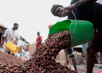 Ivory Coast sees strong exports of cocoa main crop as El Nino looms over output
