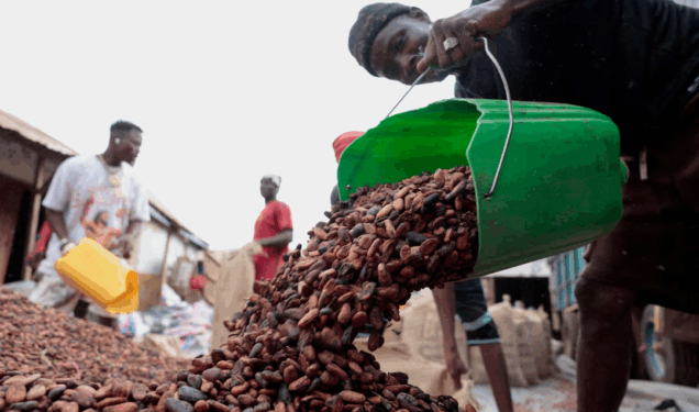 Ivory Coast sees strong exports of cocoa main crop as El Nino looms over output