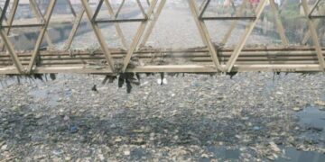 Odaw dredging 40% complete, GARID confirms as flood-control works continue.