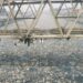 Odaw dredging 40% complete, GARID confirms as flood-control works continue.