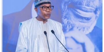 Education must produce innovators, not certificate holders – Ibn Chambas