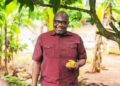 Don’t buy cocoa from farmers  on credit- Cocoabod to LBCs