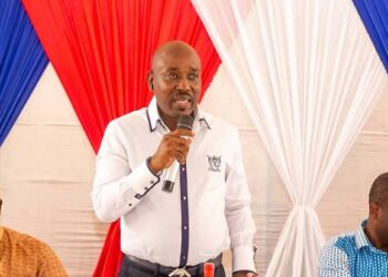 NPP Volta polls: Makafui Woanyah retains Regional Chairmanship