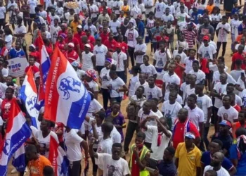 NPP youth wing to stage ‘Yegyeyɛ Sika’ demo over alleged corruption, unfulfilled promises